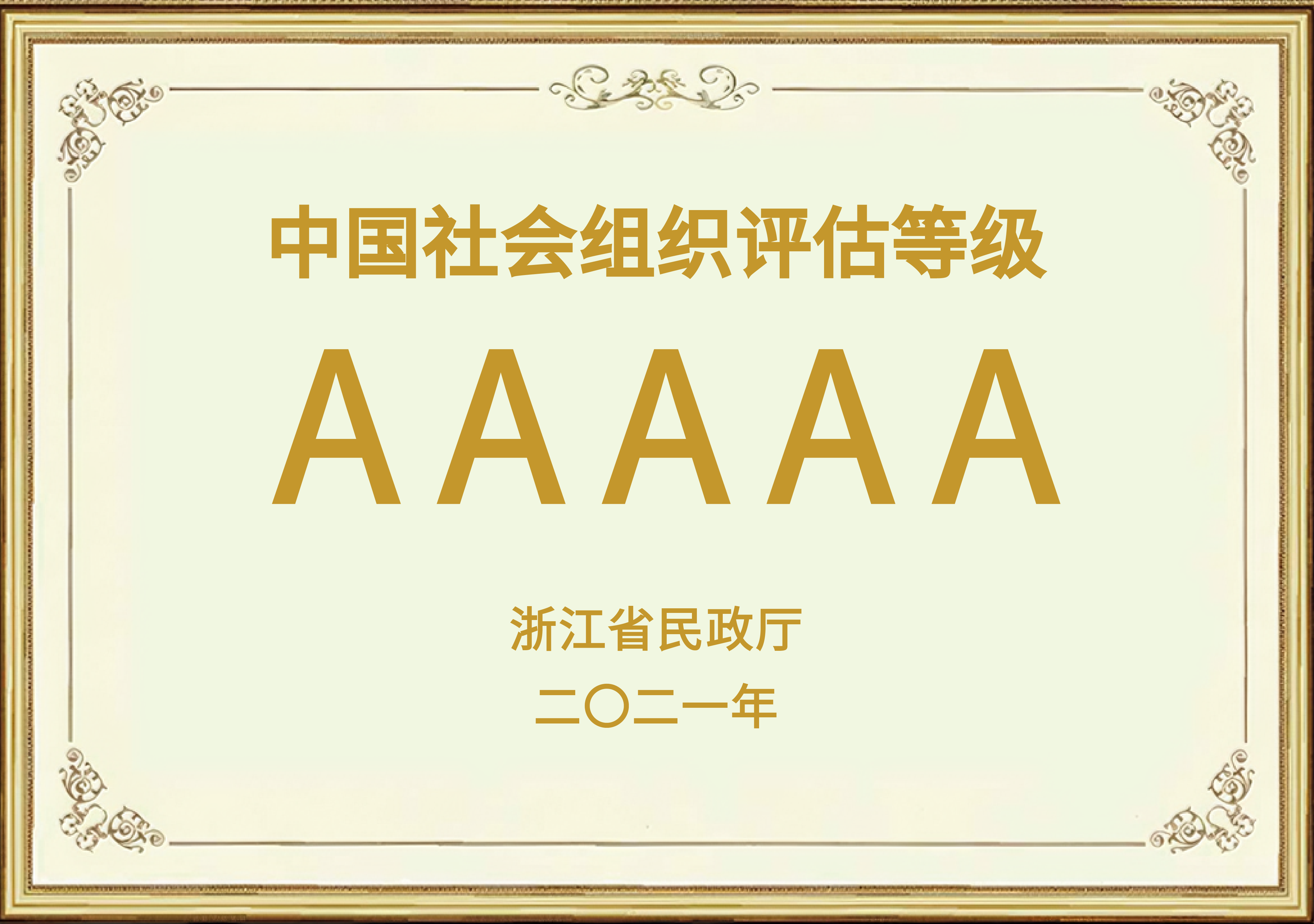 中国社会组织评估等级AAAAA